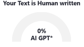 AI Text Humanizer